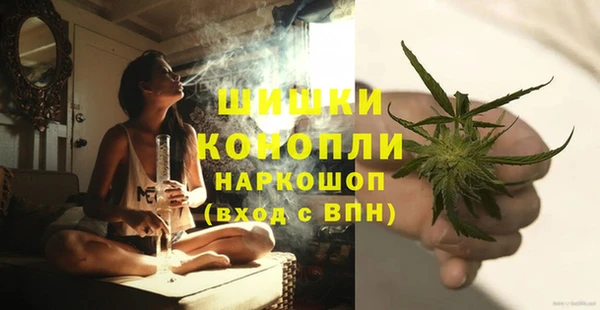 a pvp Аркадак