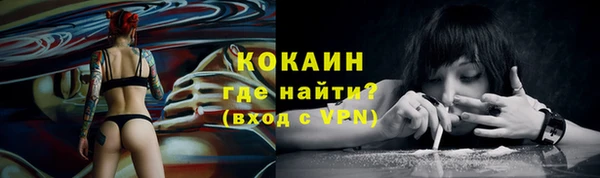 a pvp Аркадак