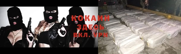 a pvp Аркадак