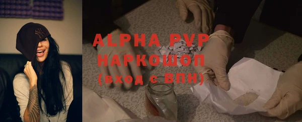 a pvp Аркадак