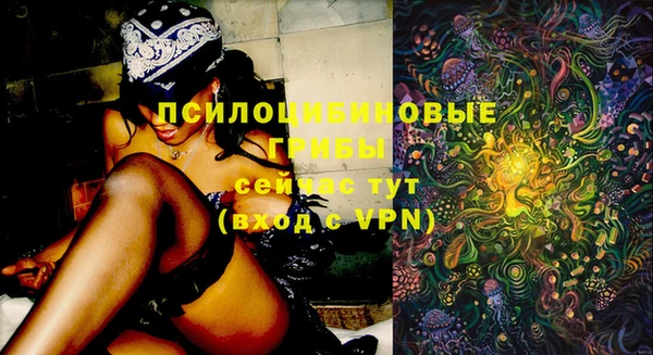a pvp Аркадак