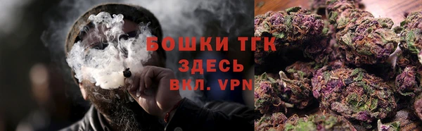 эйфоретик Арсеньев