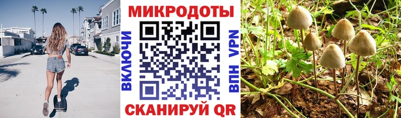 Псилоцибиновые грибы Magic Shrooms  купить закладку  Верхняя Салда 